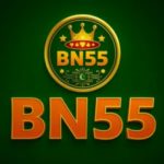 BN55 Game