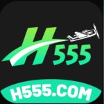 H555 Game