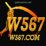 W567 Game
